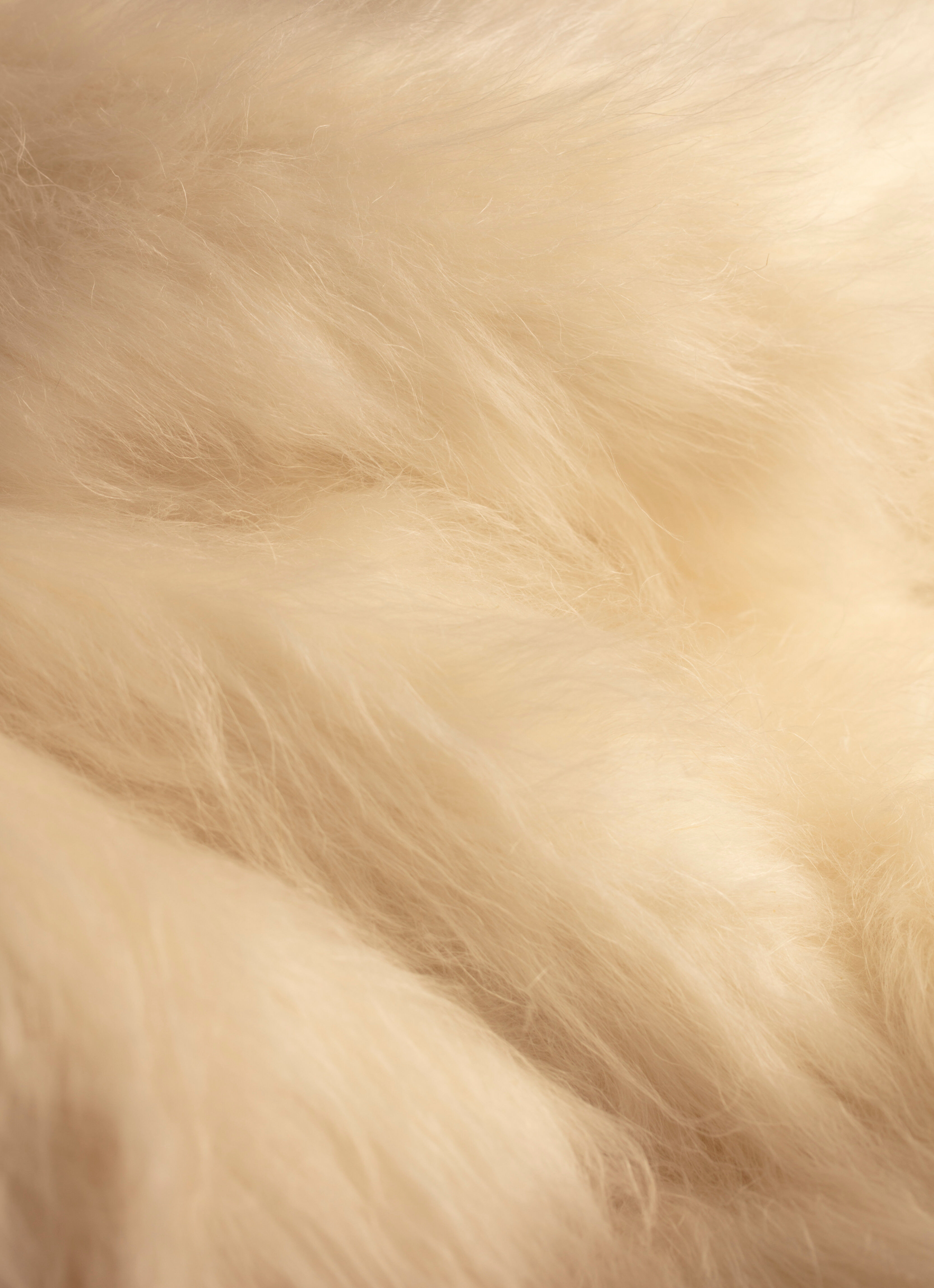 Savian: The first plastic-free fur alternative | Stella McCartney