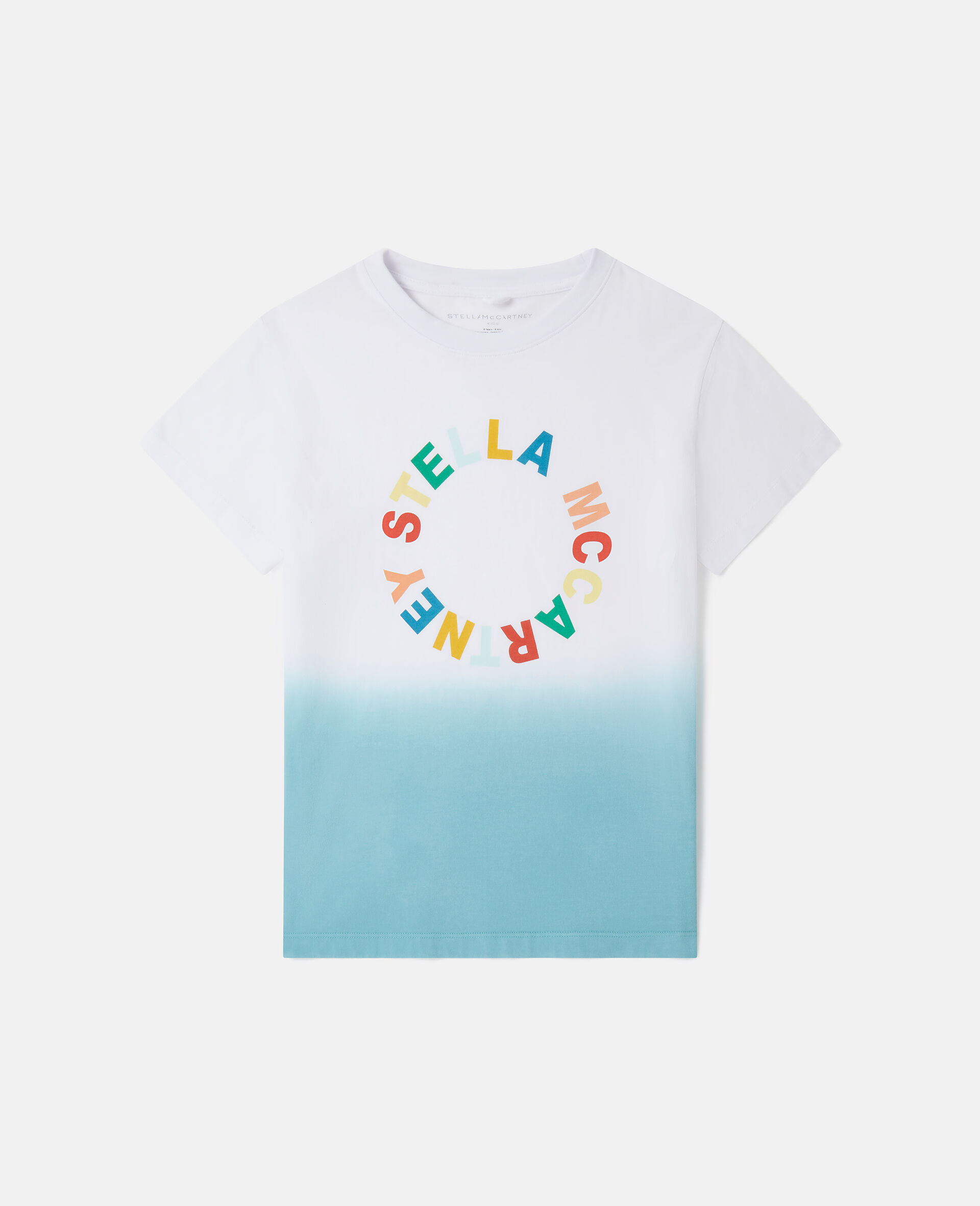 Medallion Logo Ombré T-Shirt-Multicoloured-model