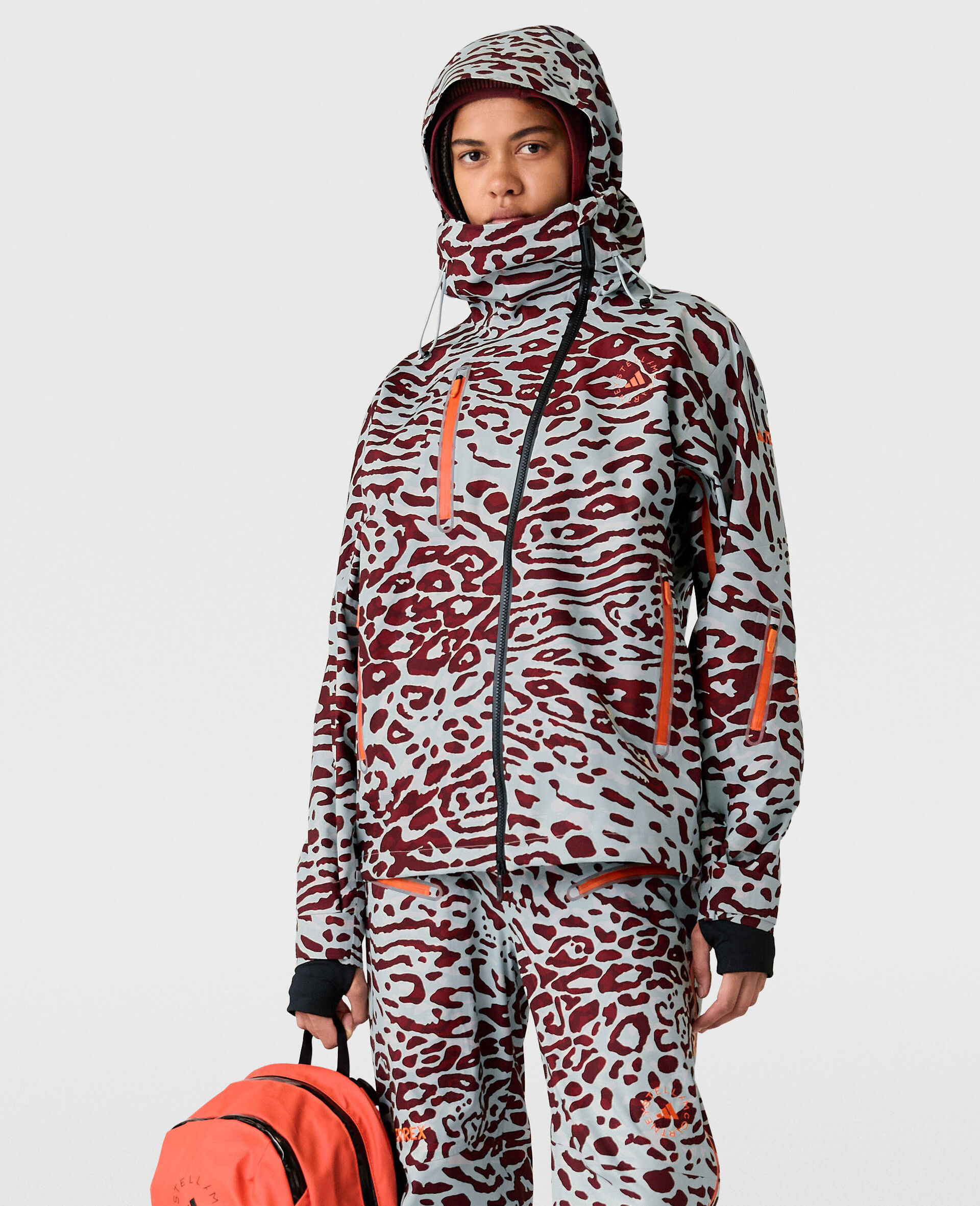 TERREX TrueNature Ski Jacket-Multicolour-model